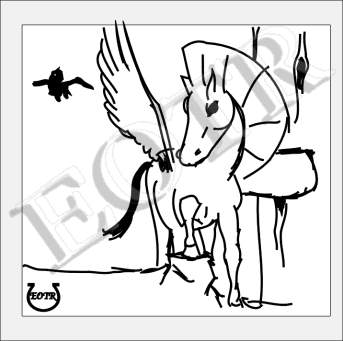 Detailed picture of Pegasus2_GA