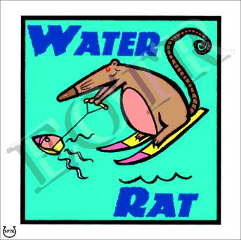 Detailed picture of WaterRat_MOMc