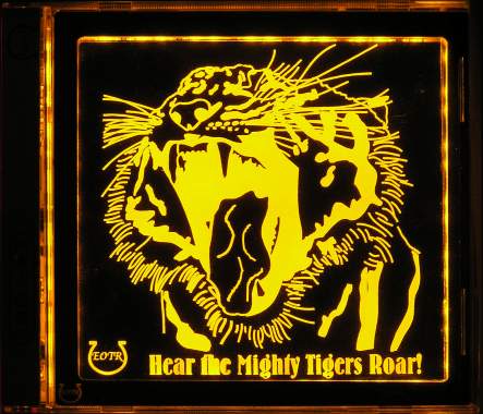 Photo example of AFLTigersRoar_GA