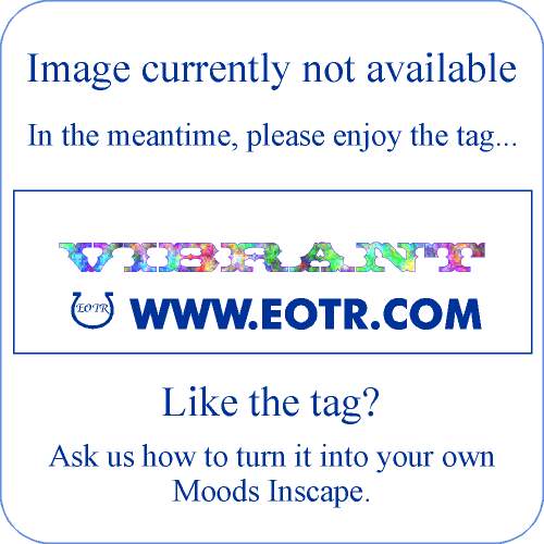 Photo example of Manga_MOMc