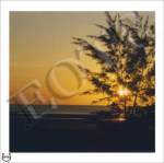 Thumbnail of SunsetInDarwin_MOMc